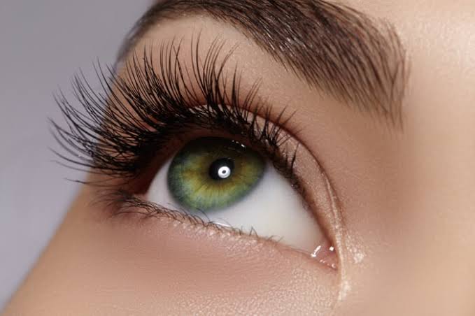 Lash and Brow Artistry at Mazur Studios LLC