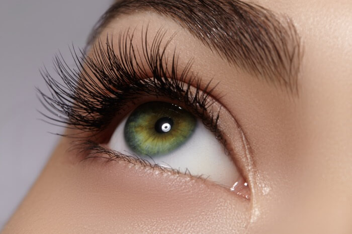 Lash and Brow Artistry at Mazur Studios LLC in West Palm Beach